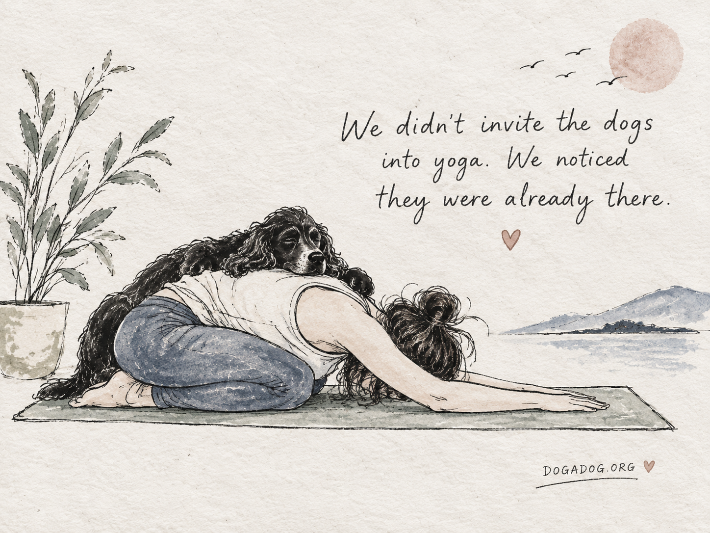 Suzi practicing Doga with a golden dog — a personal invitation